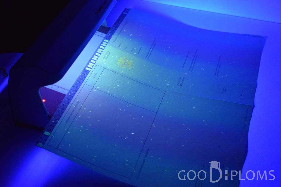 Приложение к Диплому Магистра в Ультрафиолете в период c 2014 по 2025 год - Усть-Каменогорск