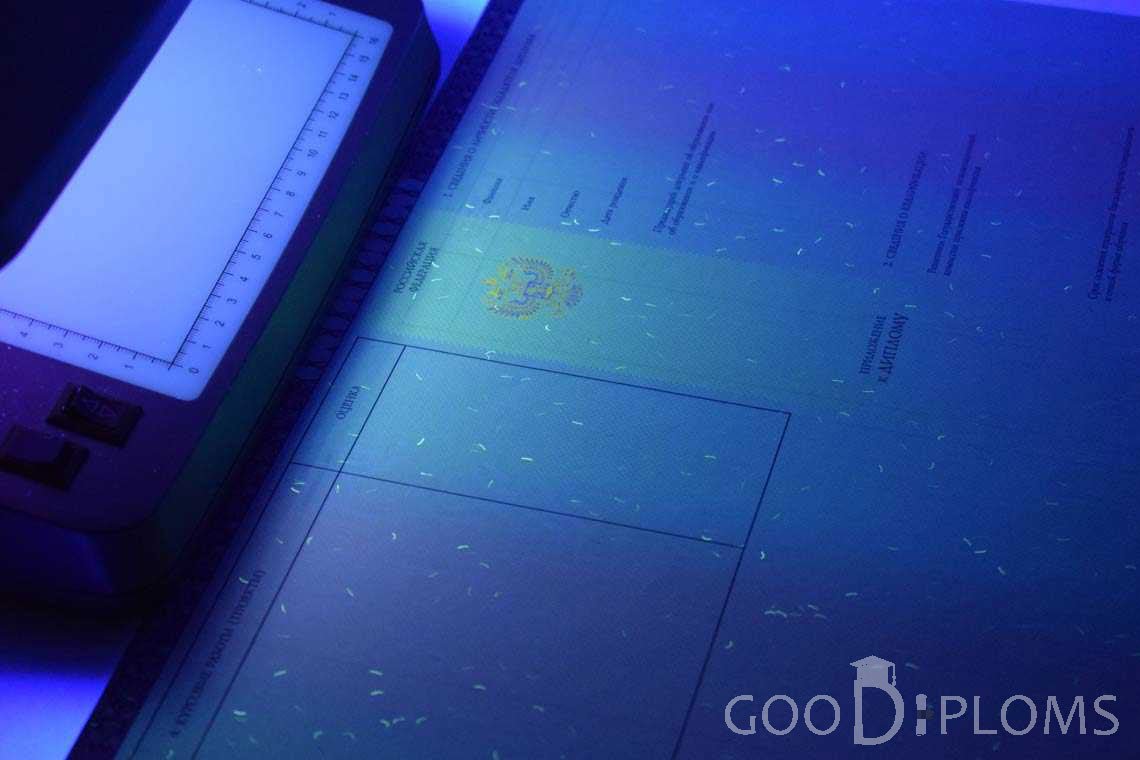 Приложение к Диплому о Высшем Образовании с Отличием в Ультрафиолете - Усть-Каменогорск